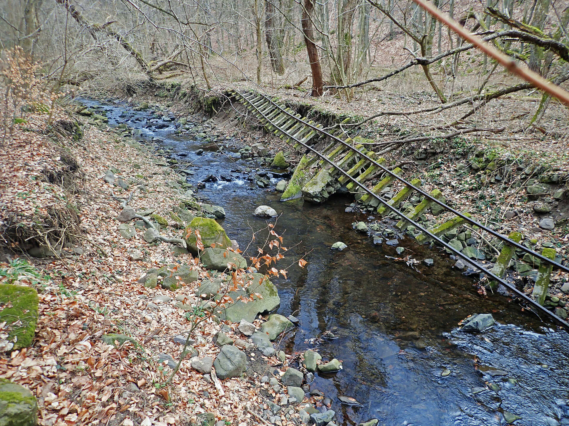 Börzsönyi kék túra második szakasz: Bernecebarátiból Nagybörzsönybe-7