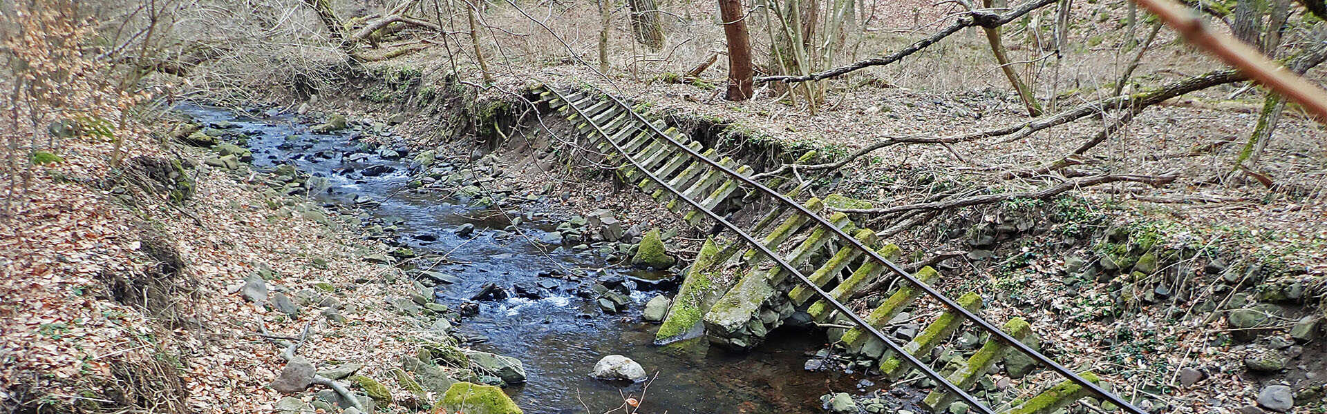 Börzsönyi kék túra második szakasz: Bernecebarátiból Nagybörzsönybe Túra