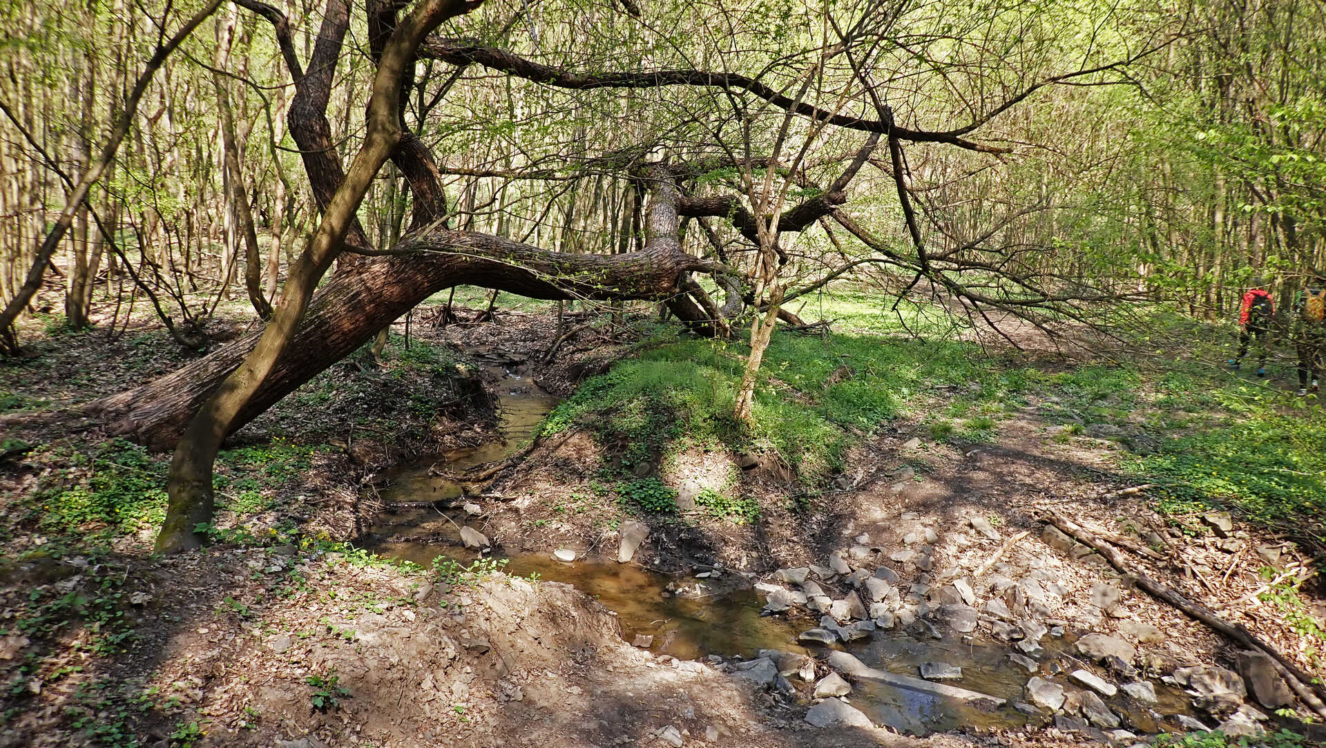 Börzsönyi kék túra harmadik szakasz: Nagybörzsönytől Szobig-5
