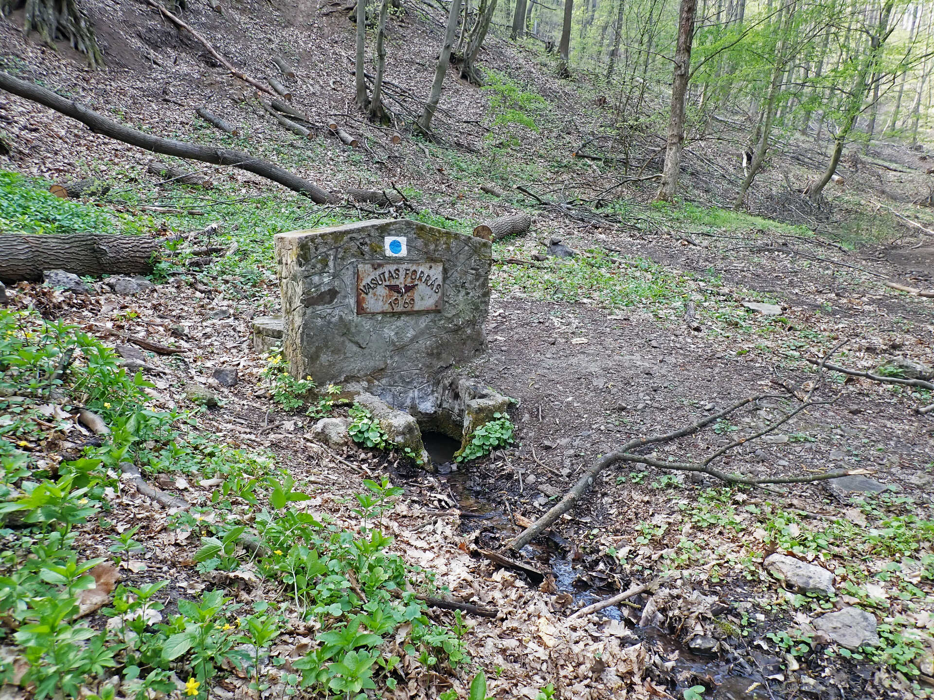 Börzsönyi kék túra harmadik szakasz: Nagybörzsönytől Szobig-6