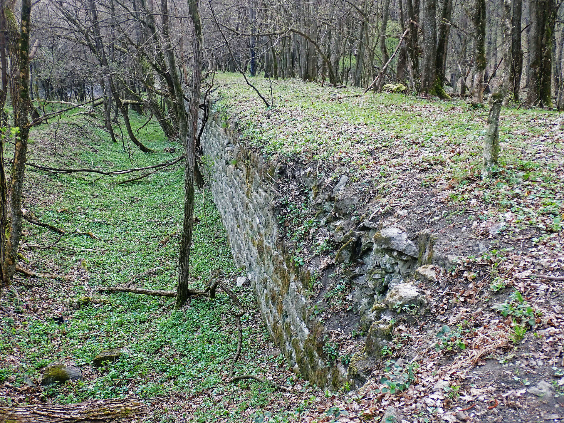 Családi várnéző és vonatleső kirándulás a Nógrádi Róka-hegyen-5