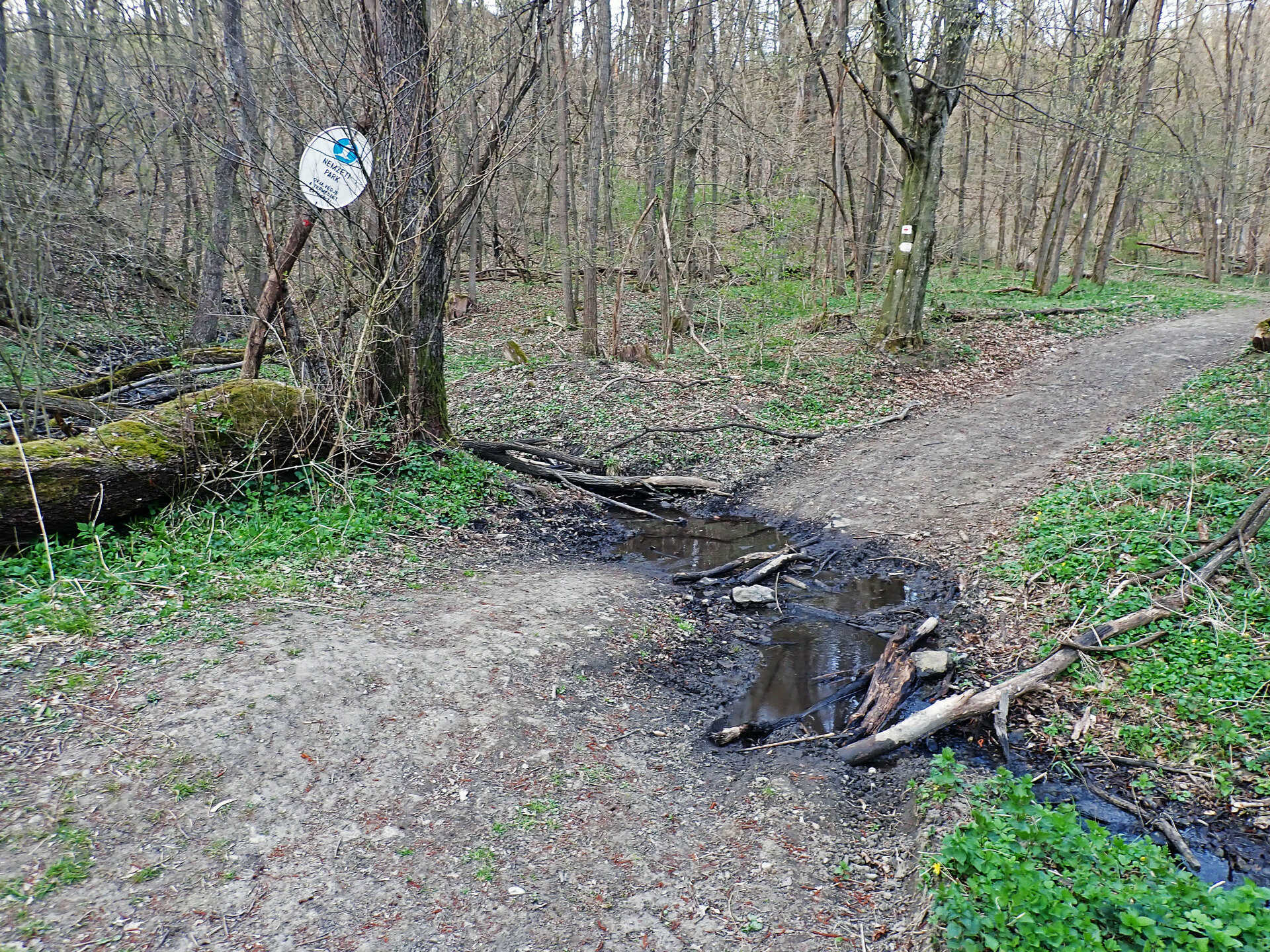 Családi várnéző és vonatleső kirándulás a Nógrádi Róka-hegyen-7