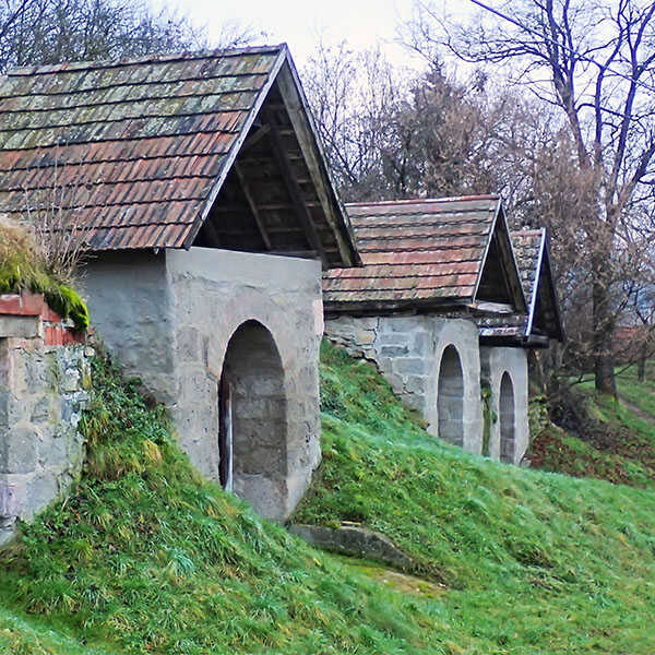 Nógrádi várnéző és vonatleső kirándulás a Róka-hegyen