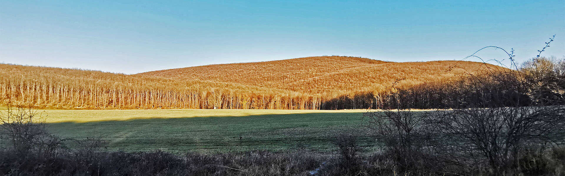Túra Kismarosról Törökmezőre Túra