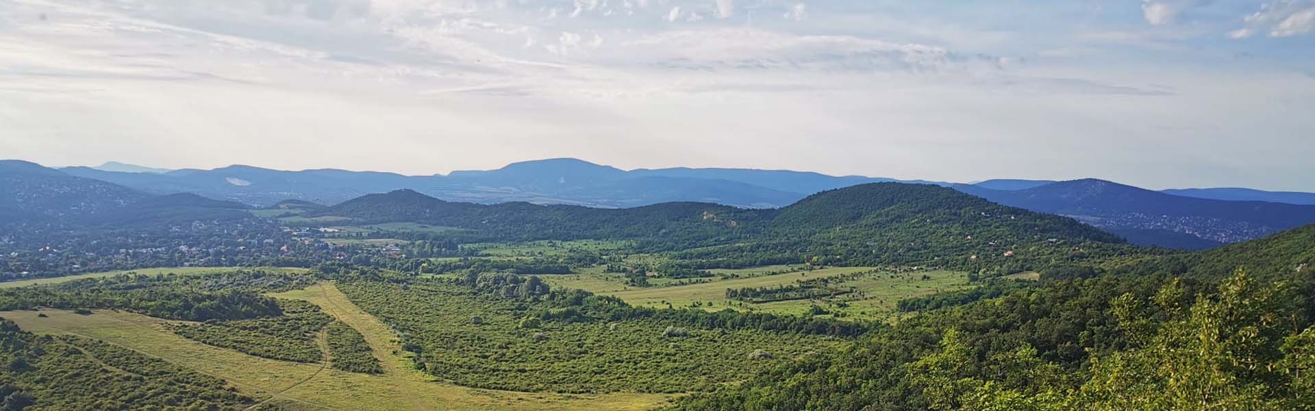 Melyik instant kör a nekem való? Hír
