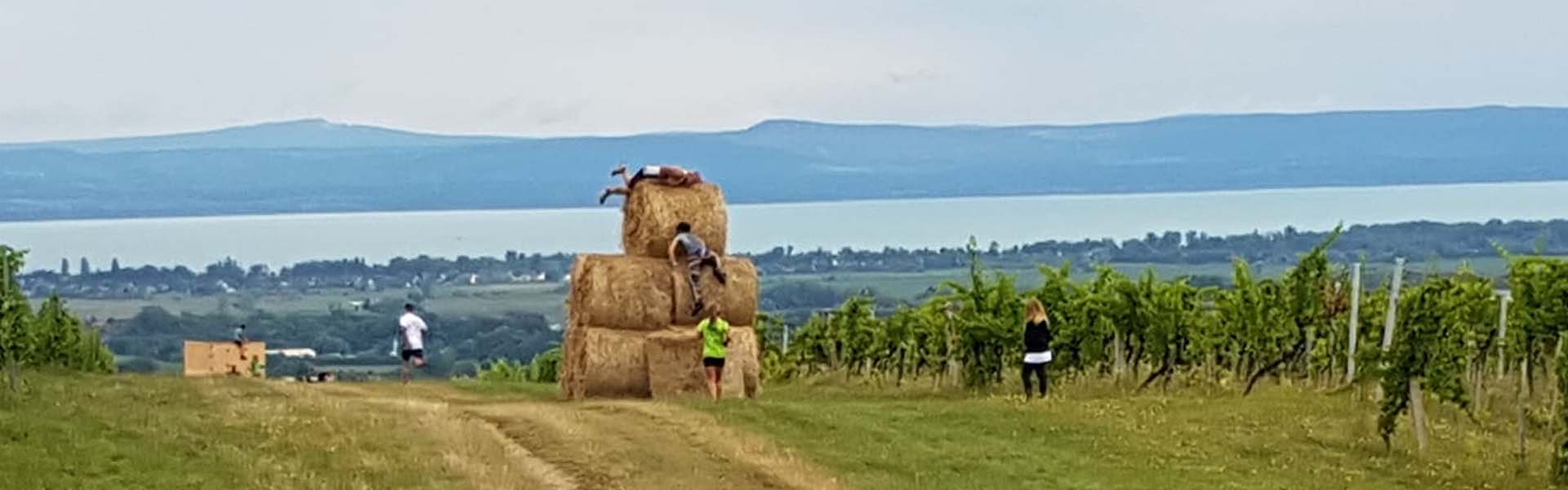 Vágysz már egy kellőképp őrült versenyre? Itt van kettő! Hír
