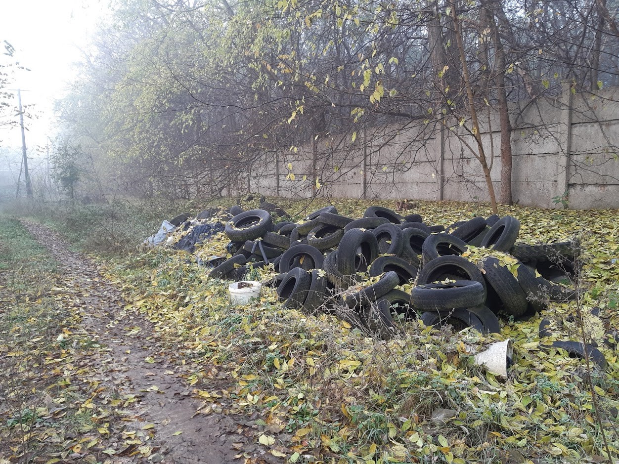 A hulladékmentes erdő közérdek-1