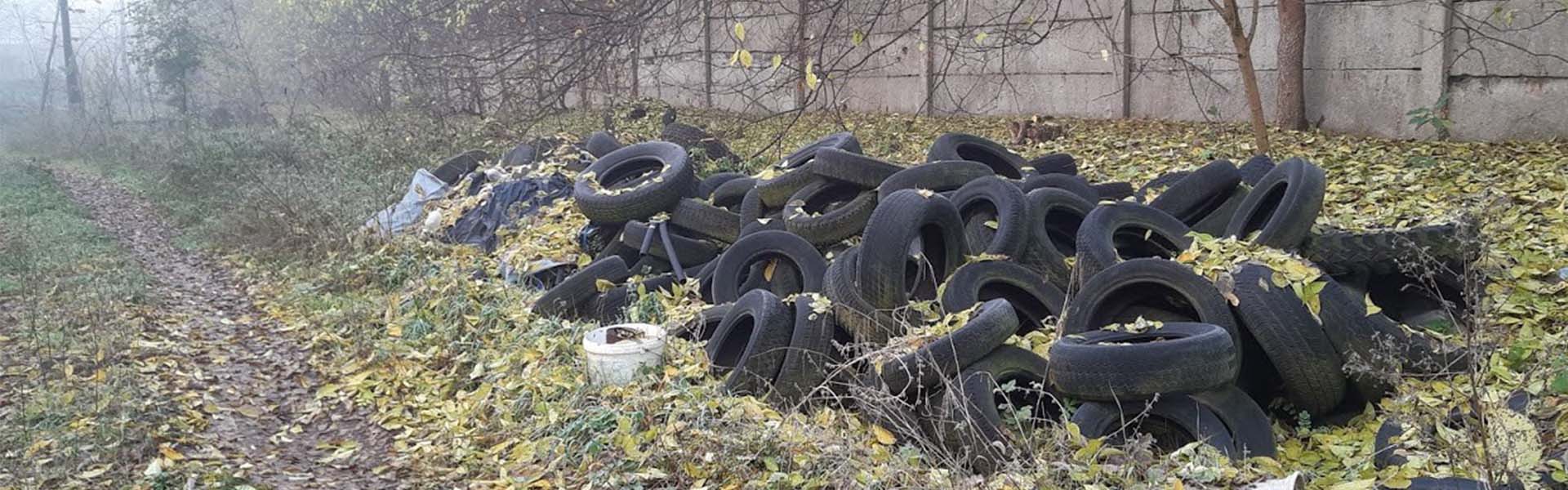 A hulladékmentes erdő közérdek Hír