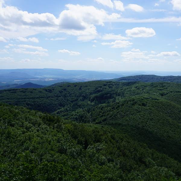 Királyrét-Csóványos