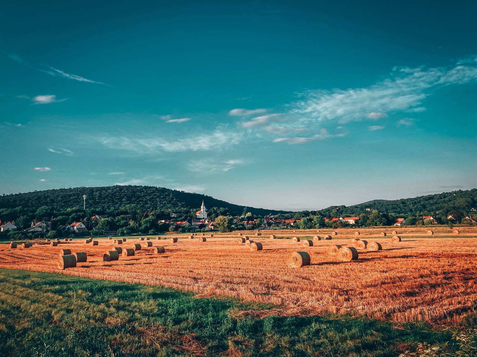 A focisták nyápicok, a bringások kemények-3