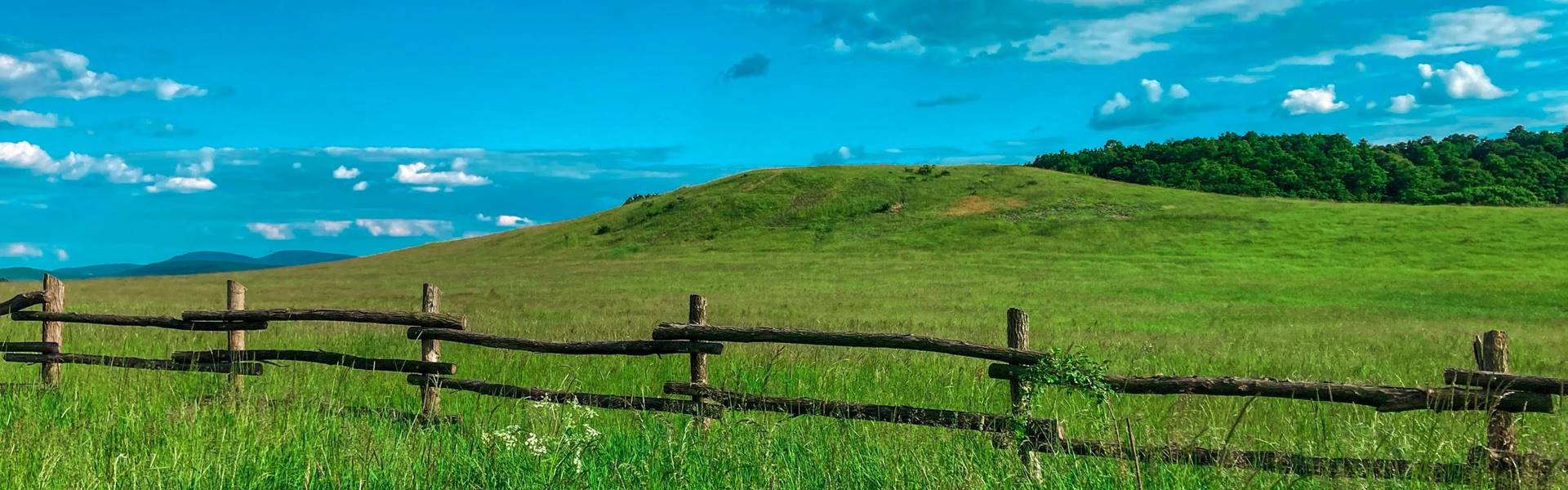 Klasszikus börzsönyi országúti kör