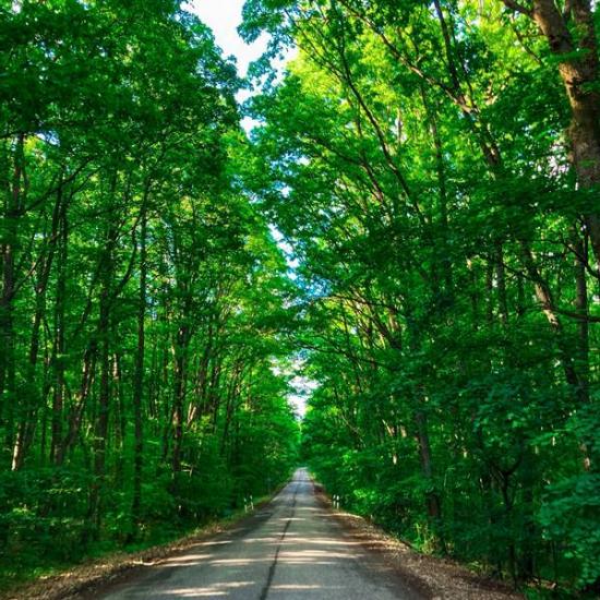 Klasszikus börzsönyi országúti kör