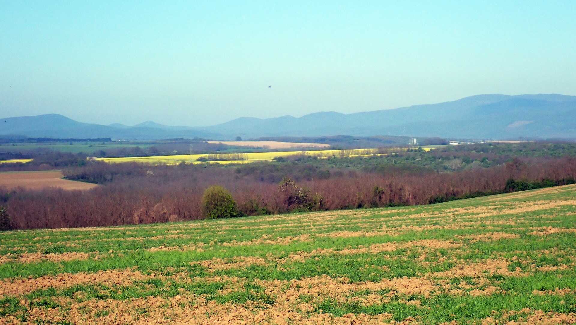 Bánki-tó túra-4