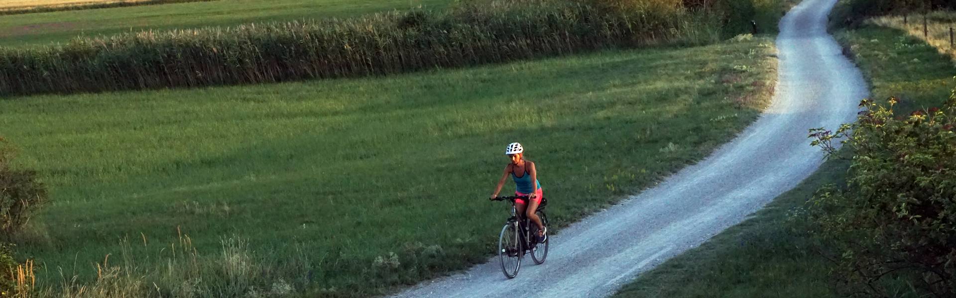 Kerékpárral a Fertő-tó körül