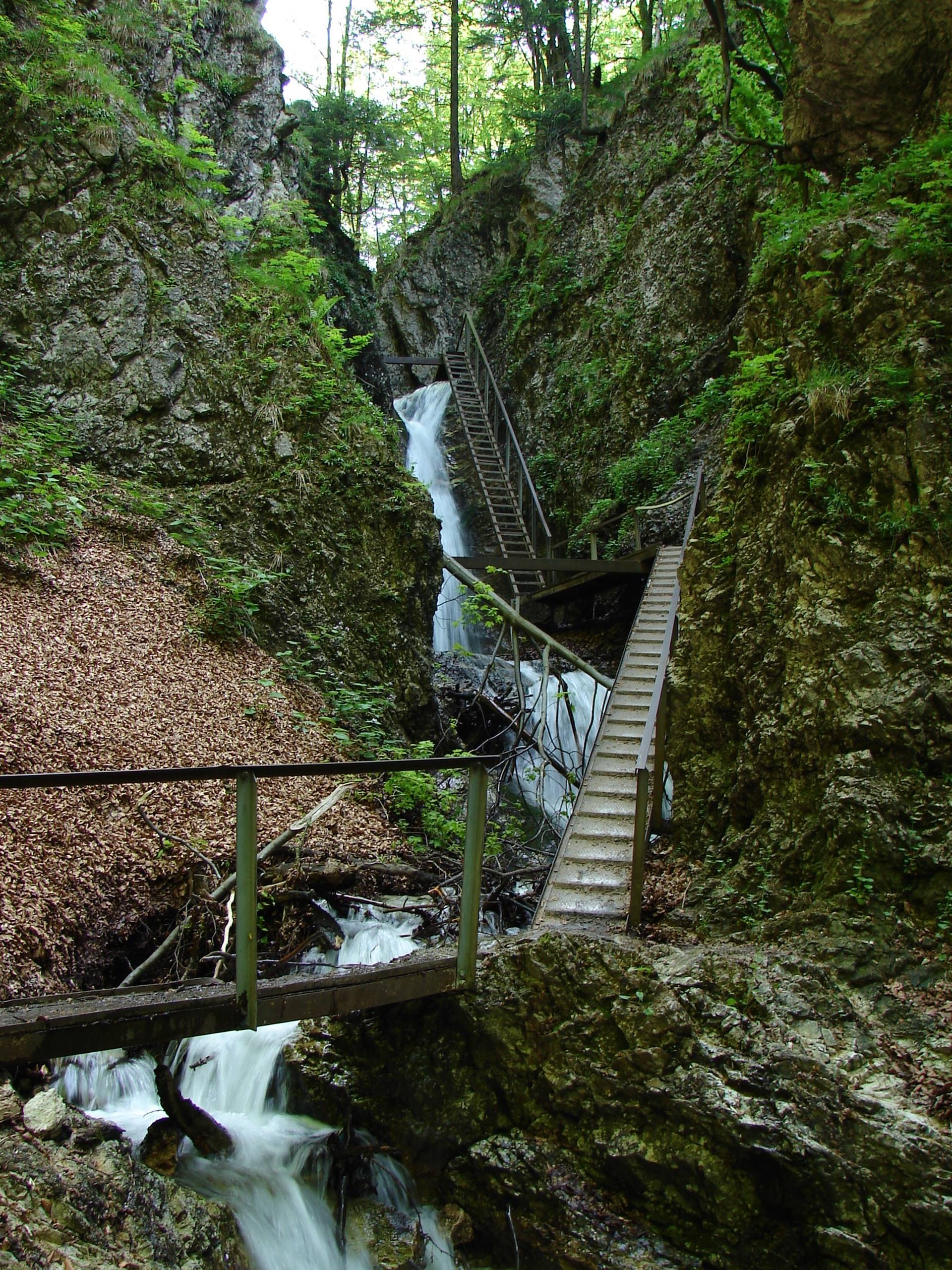 Štefanovából a Nagy-Rozsutecre-1