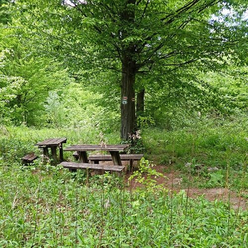 Hosszú túra a Burok-völgyben