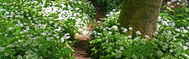 Hosszú túra a Burok-völgyben