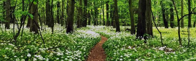 Rövidebb túra a Burok-völgyben