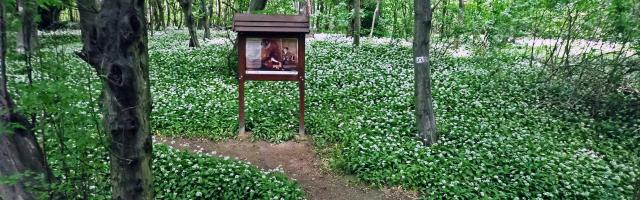 A Csikling-vár és az Alba Régia-barlang felfedezése