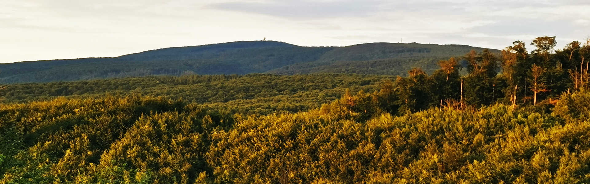 Körtúra a Witt Lajos emlékhelyhez és a Tevel-várhoz