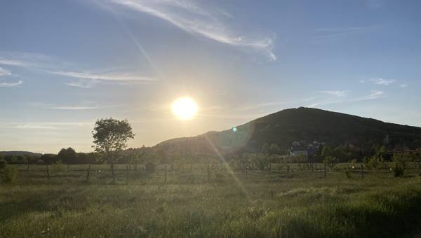 Nagyirtáspuszta - Nagybörzsöny