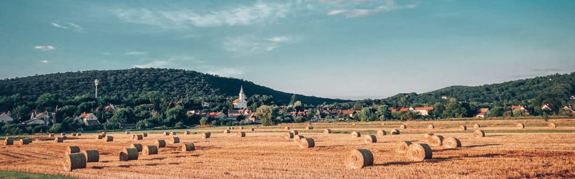 Dunamenti nézelődés és gasztrotúra