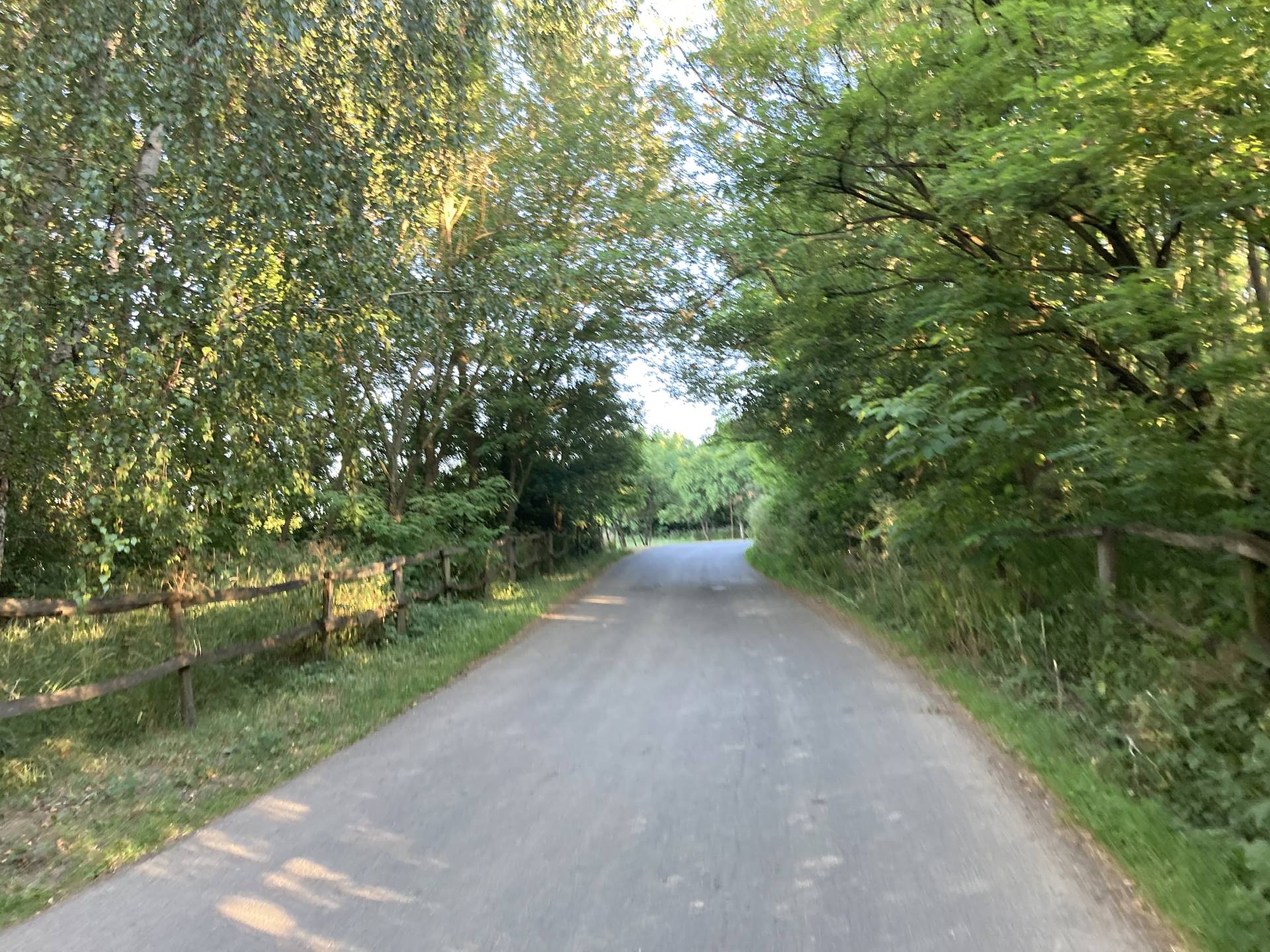 Börzsönyszéli eldugott gravel túra-2