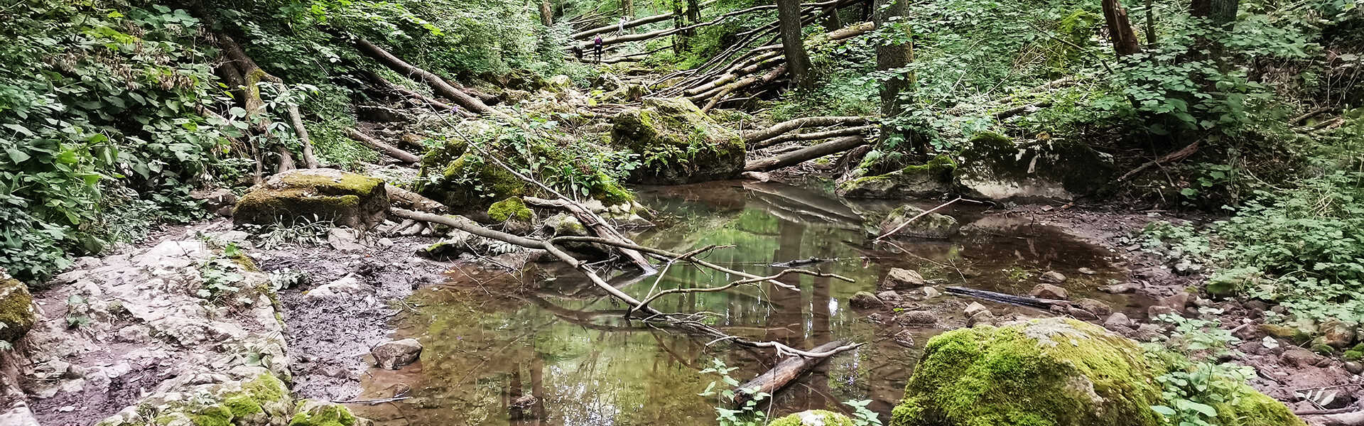 Túra a Kerteskői-szurdokon át a Hajagok tanyavilágába