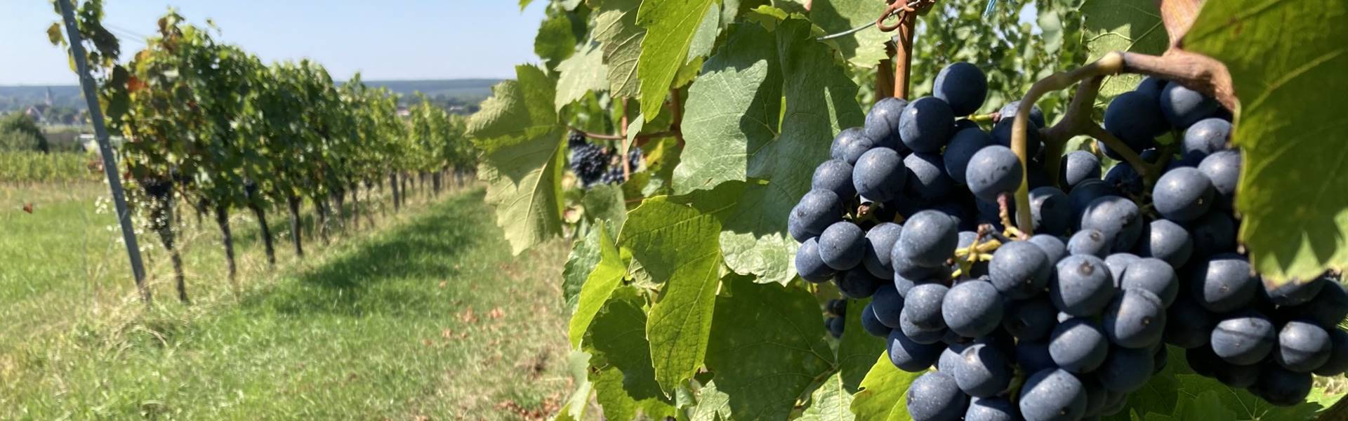 Paradiesroute 3. nap