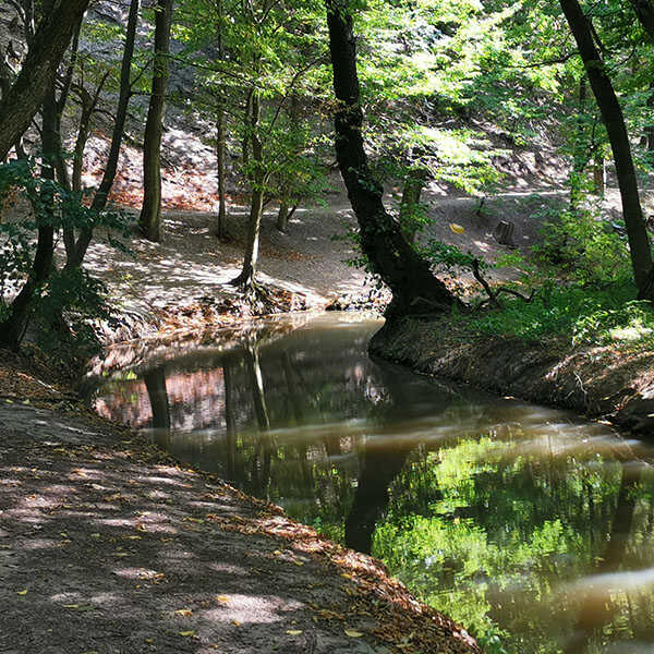 Fehérvárcsurgói Gaja-szurdok túra