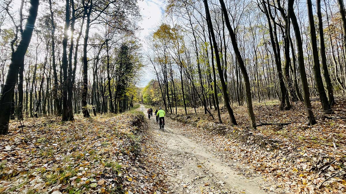 Feltuningolt Balaton környéki kerékpáros lehetőségek: BalatonBike365-1