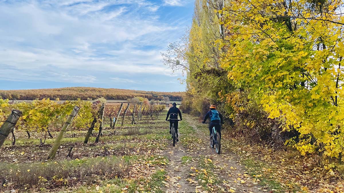 Feltuningolt Balaton környéki kerékpáros lehetőségek: BalatonBike365-14