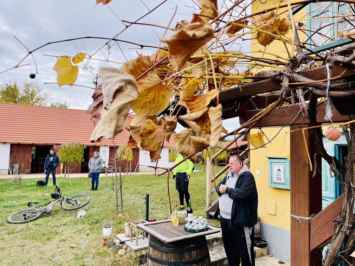 Feltuningolt Balaton környéki kerékpáros lehetőségek: BalatonBike365-20