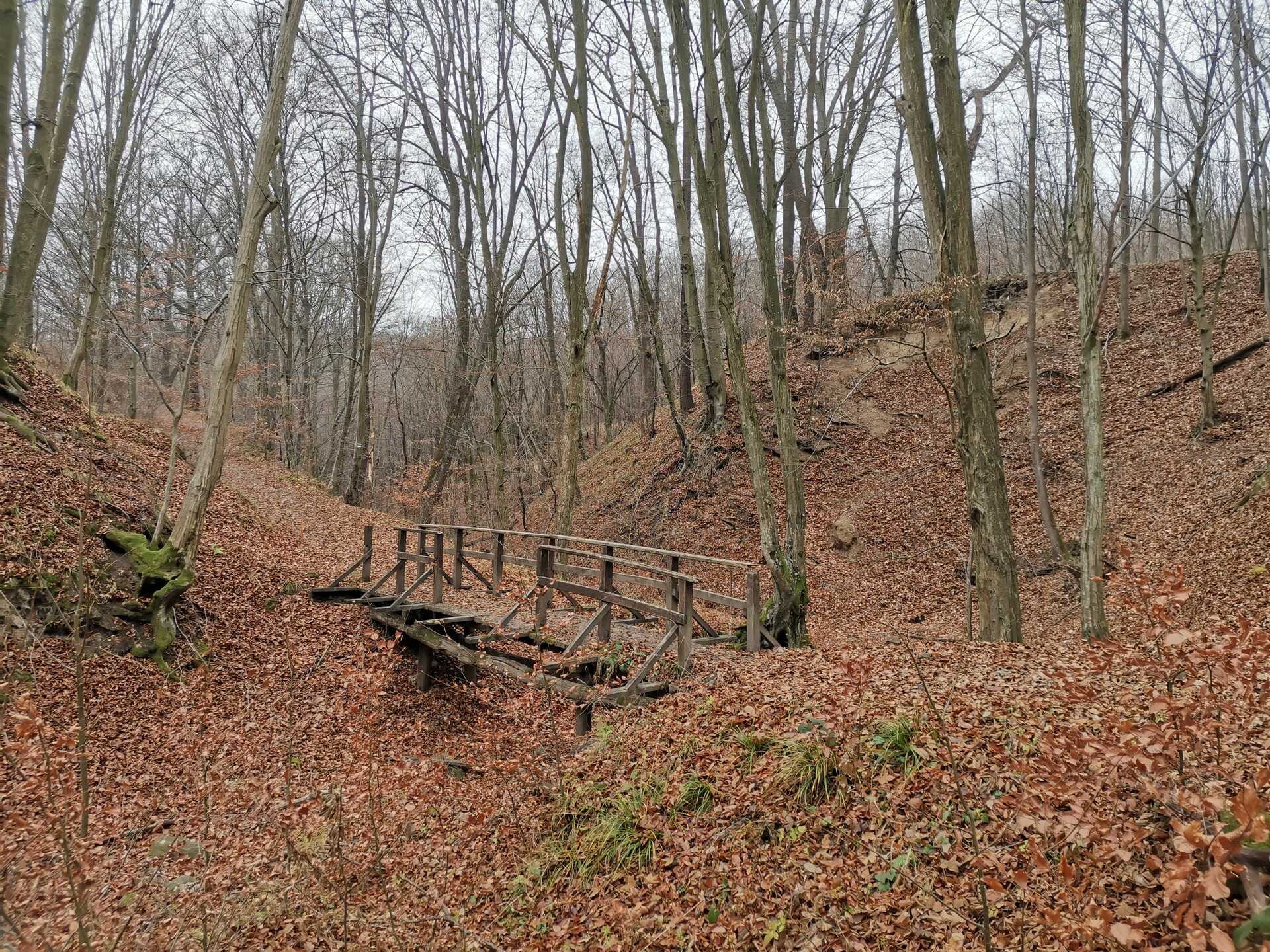 Túra az új Bölcső-hegyi kilátóhoz-2