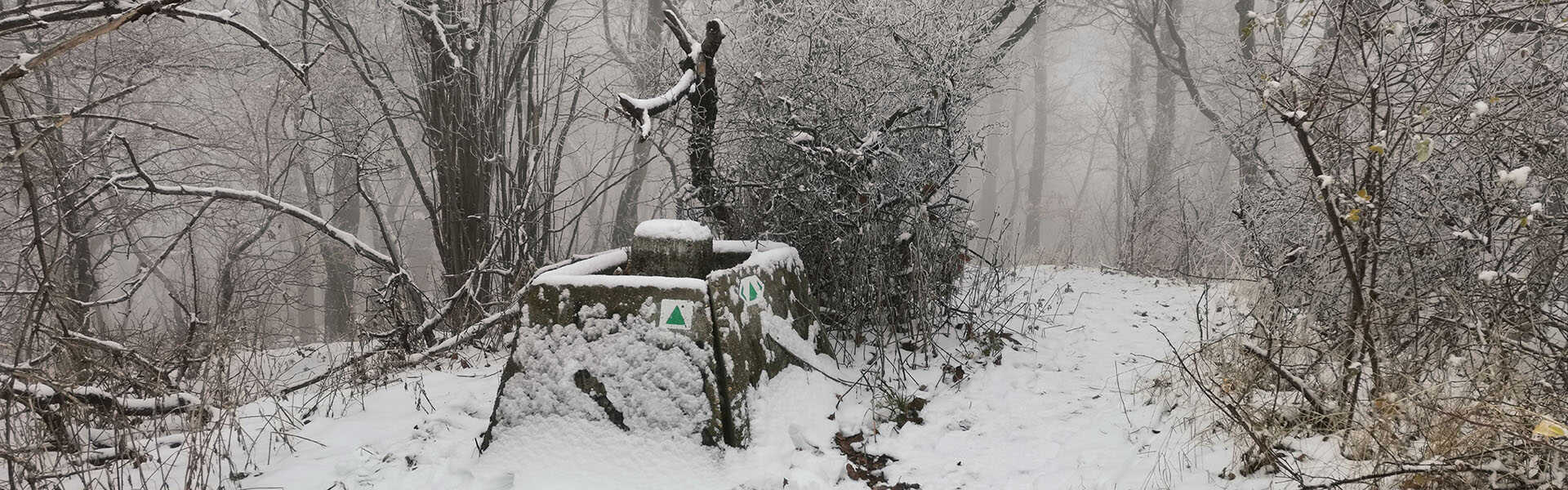 Túra a Csikóvárak gerincére Túra
