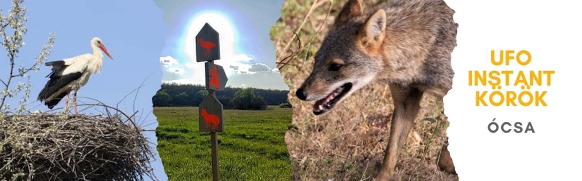 Kosbor kör (UFO SE Instant kör)