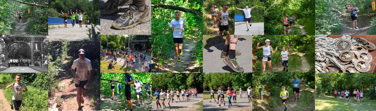 Szabadság Napi Futás - Gödöllői Erdei Terep Félmaratonimg