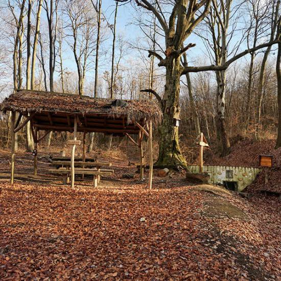 Piliscsévi Basina -Studenka túra