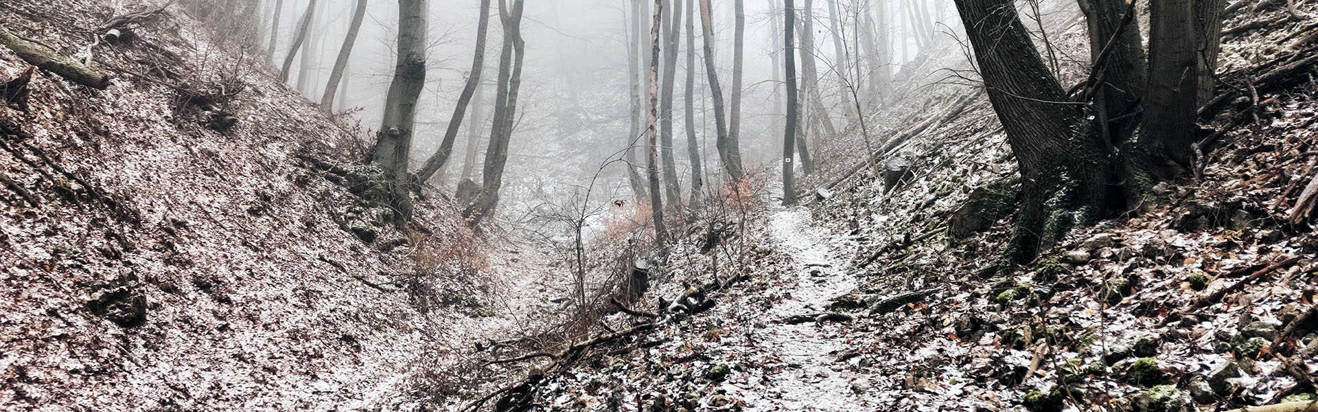 A Pilis-tető megmászása Vaskapu-szikla kihívással