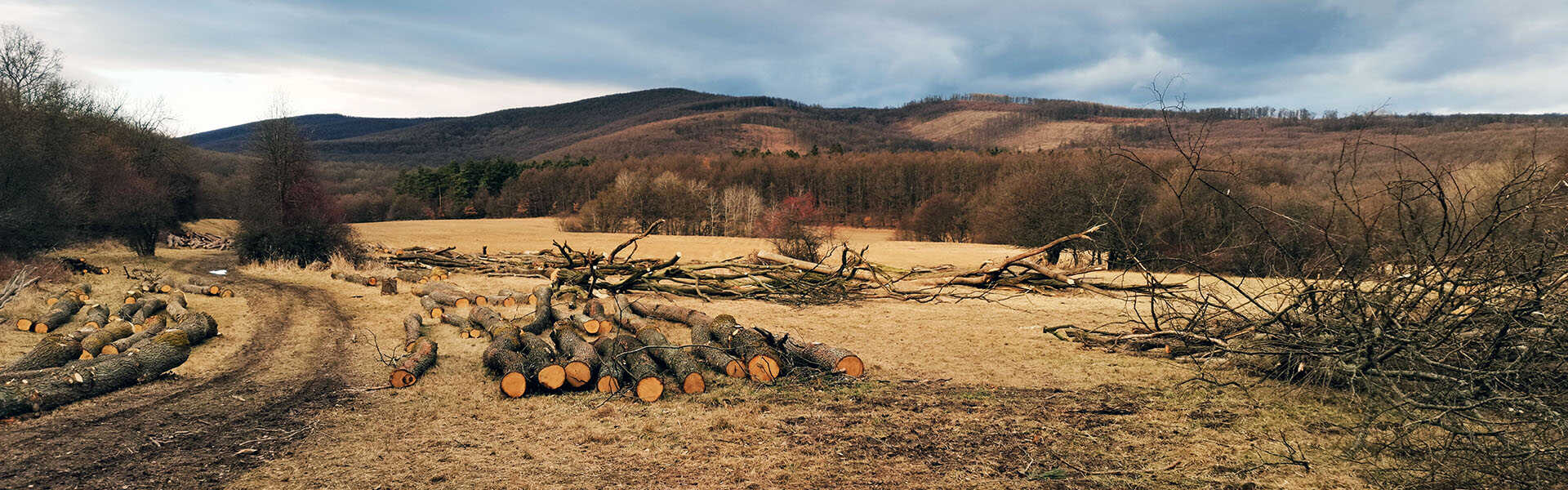 Túra Pilisszentlászlóról a Király-kútra a Tövises-hegy gerincén