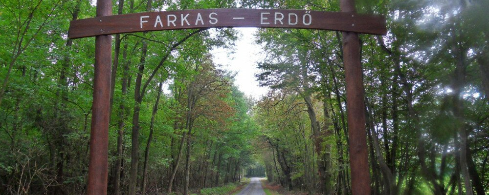 Farkas-erdő kívül-belülimg