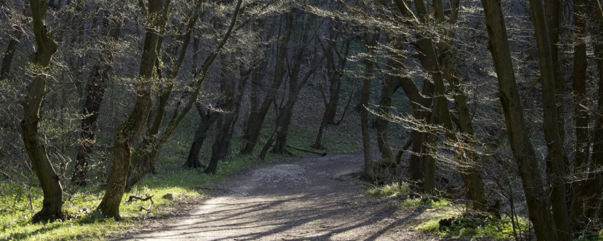 Tavaszi Ébredésimg