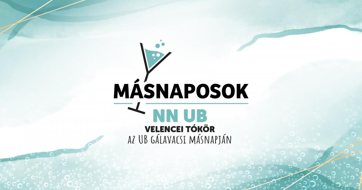 NN Ultrabalaton felkészítő futás, avagy Másnaposok a Velencei-tó körül!img