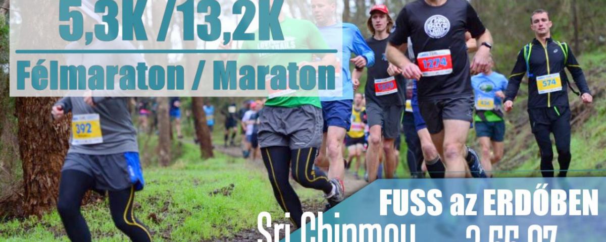 Sri Chinmoy 3:55:07 - 16. Öntúlszárnyalás Futófesztiválimg