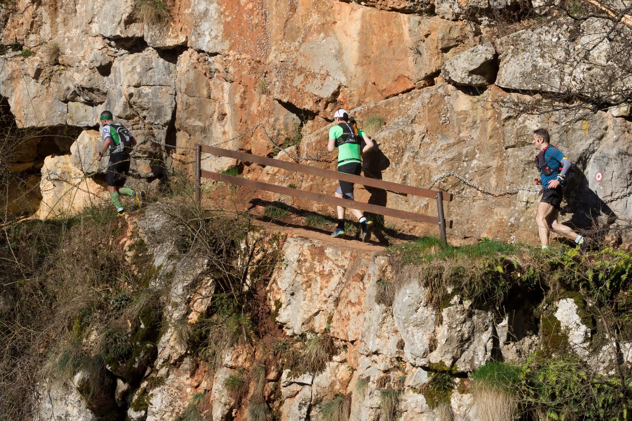 Primavera Trail Race