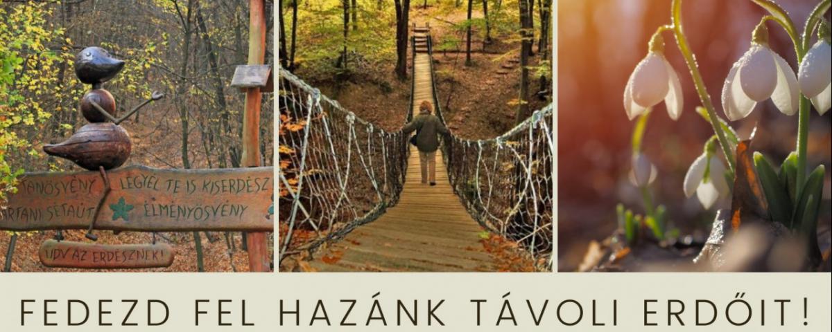 Fedezd fel Hazánk távoli erdőit! - TÉLimg