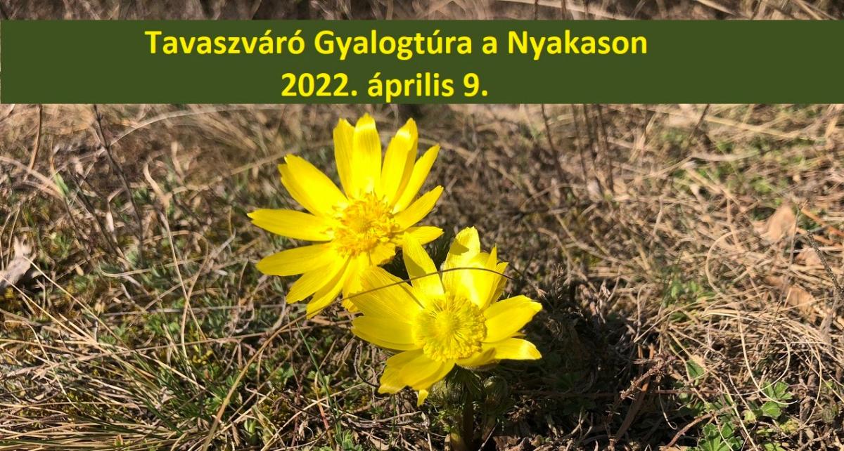 Tavaszváró gyalogtúra a Nyakasonimg