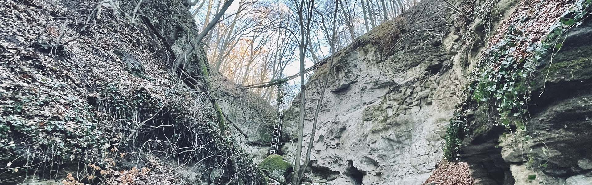 Tél a Pilisben: Holdvilág-árok (Fuss az erdész szemével)