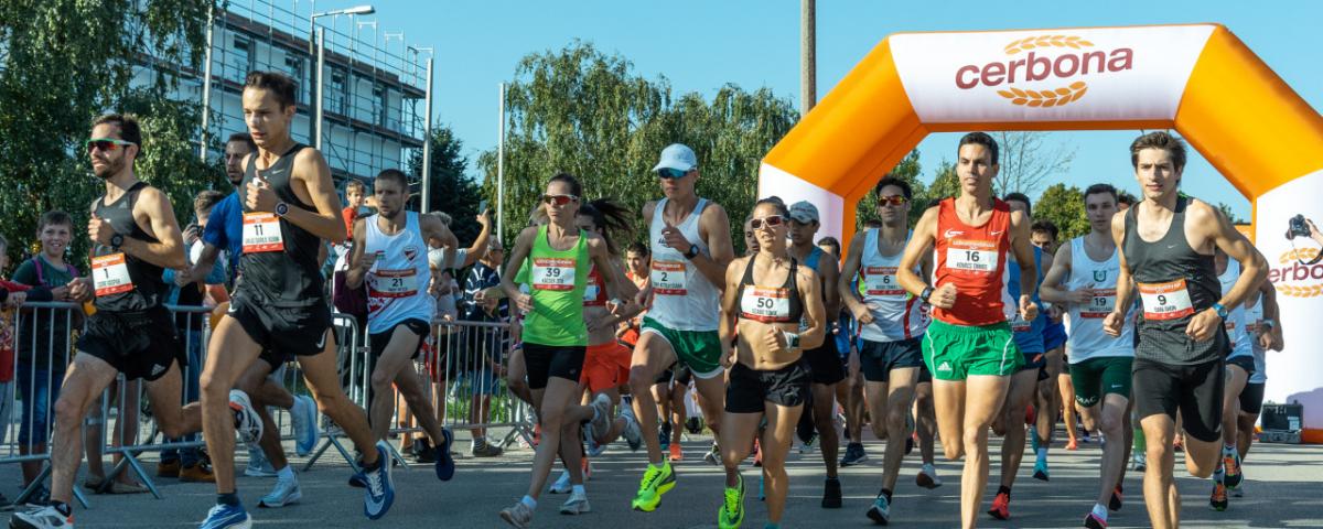 VI. Cerbona Fehérvár félmaratonimg