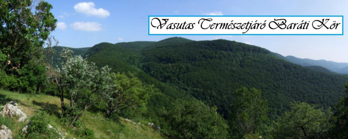 Bükki forrásokimg